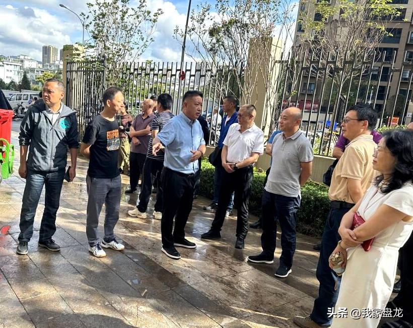 盤龍城垃圾中轉(zhuǎn)站最新消息，進(jìn)展、影響與展望