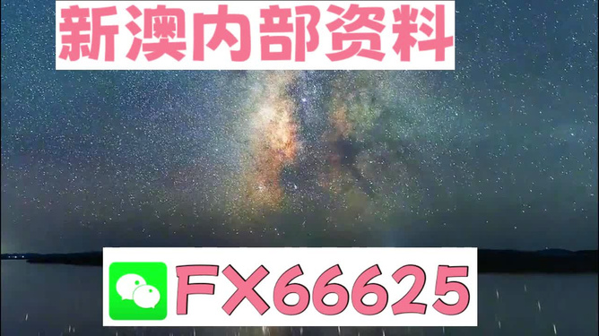 2024天天彩全年免費資料,探索2024天天彩，全年免費資料的深度解析