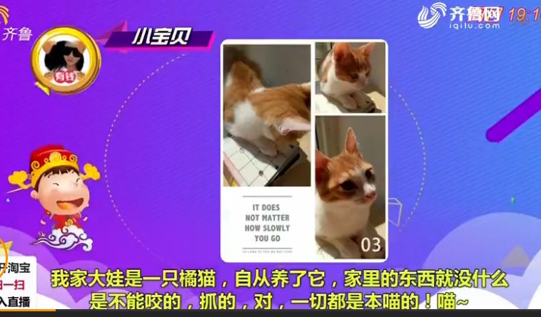 澳門一碼一肖一待一中四不像,澳門一碼一肖一待一中四不像，探索神秘與現(xiàn)實的交匯點
