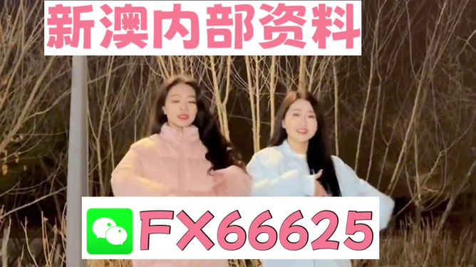 管家婆一碼一肖100準(zhǔn),揭秘管家婆一碼一肖，100%精準(zhǔn)的神秘面紗