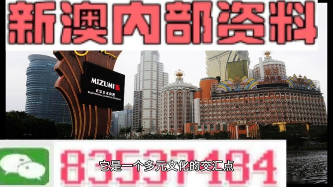 澳門高級內(nèi)部vip資料,澳門高級內(nèi)部VIP資料，犯罪行為的警示與反思