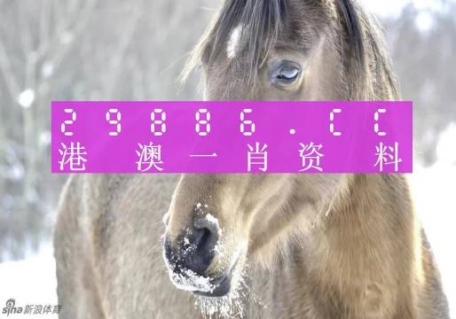 澳門精準一肖一碼100%,澳門精準一肖一碼100%，揭示犯罪背后的真相