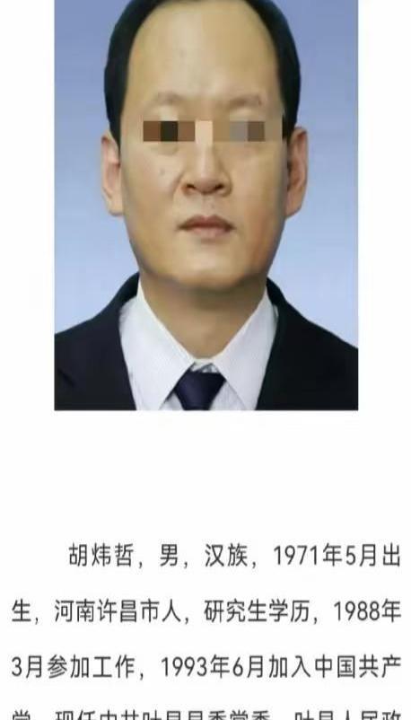 小神醫(yī)混仕途最新章節(jié),小神醫(yī)混仕途最新章節(jié)，醫(yī)術(shù)與權(quán)力的交織