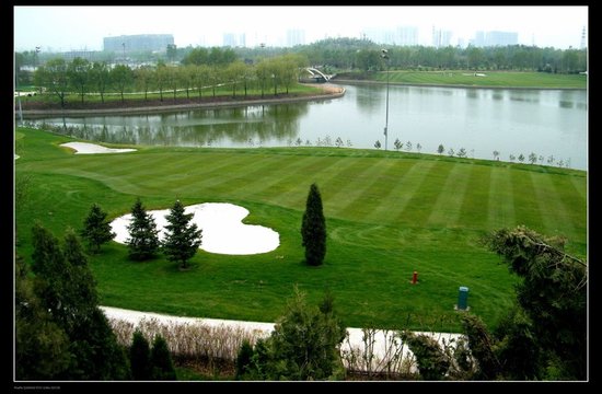 大同公園一號(hào)最新動(dòng)態(tài),大同公園一號(hào)最新動(dòng)態(tài)，城市綠肺的新篇章