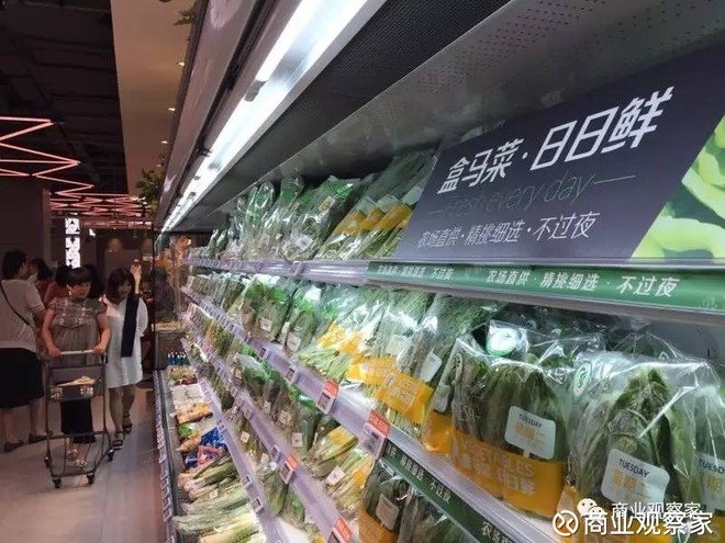 最新上海新菜市場招商,最新上海新菜市場招商，開啟新一輪商業(yè)機遇之門