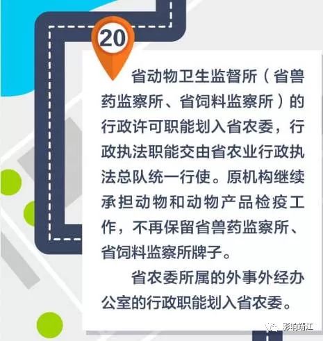 官方獸醫(yī)改革最新消息,官方獸醫(yī)改革最新消息，重塑體系，保障動(dòng)物健康與人類(lèi)福祉