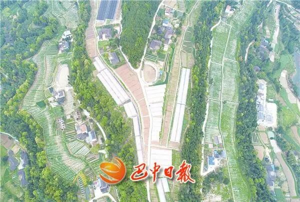 巴中市南環(huán)線最新動態(tài),巴中市南環(huán)線最新動態(tài)