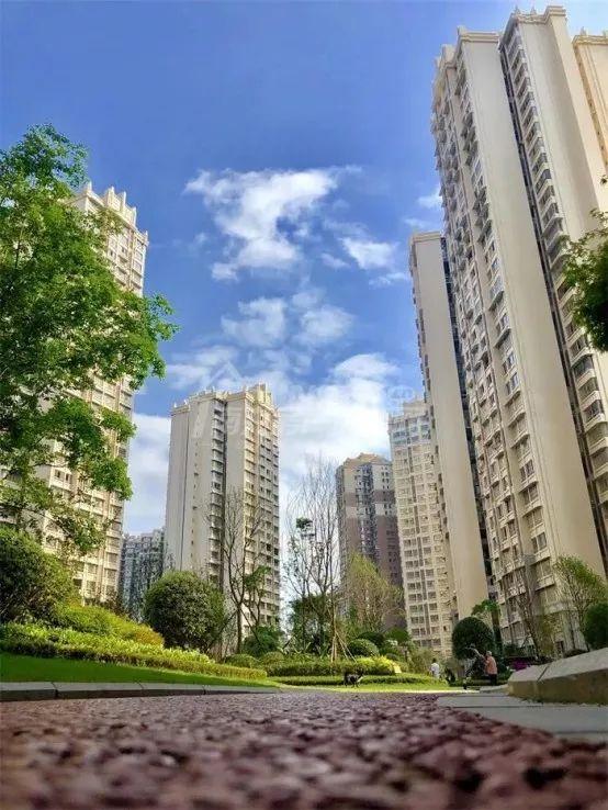 陽光宜居最新消息,陽光宜居，最新消息全面解讀