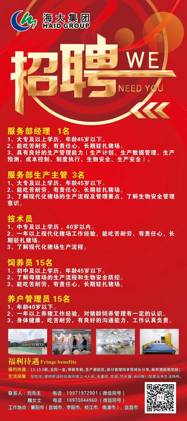 郎溪招聘網(wǎng)最新招聘,郎溪招聘網(wǎng)最新招聘動態(tài)及其影響