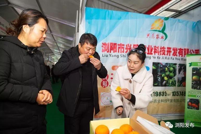 瀏陽(yáng)工業(yè)新城最新消息,瀏陽(yáng)工業(yè)新城最新消息，蓬勃發(fā)展，引領(lǐng)未來(lái)工業(yè)新篇章
