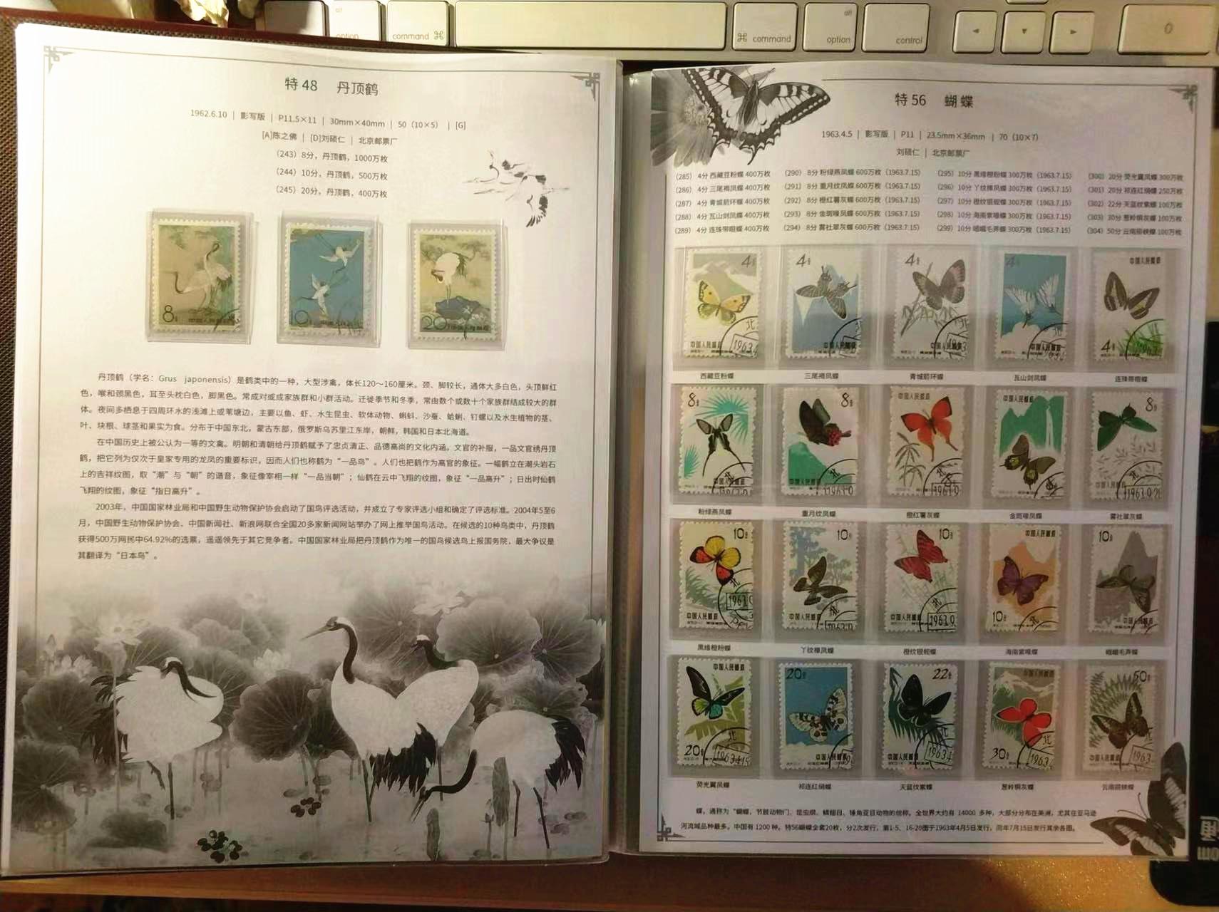 最新郵票收藏價格表,最新郵票收藏價格表及其背后的故事