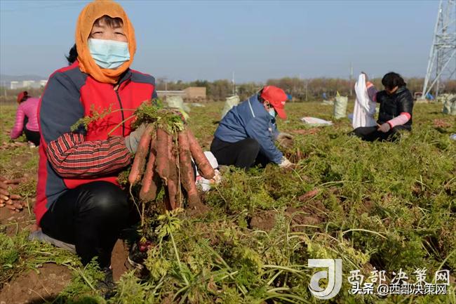 鳳翔縣最新房屋出售,鳳翔縣最新房屋出售，投資房地產(chǎn)的黃金選擇