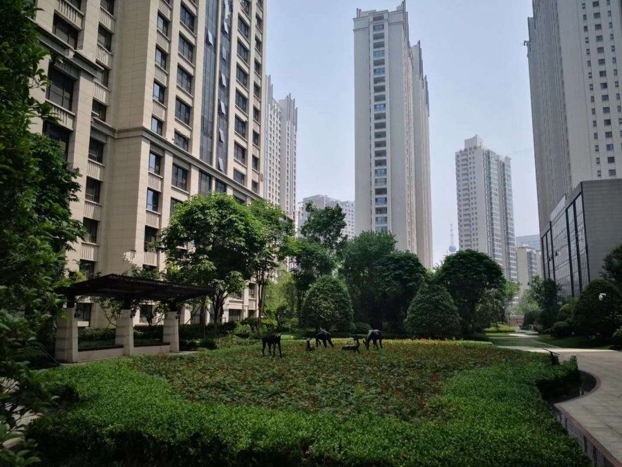群賢道九號(hào)最新房?jī)r(jià),群賢道九號(hào)最新房?jī)r(jià)動(dòng)態(tài)及其市場(chǎng)趨勢(shì)分析