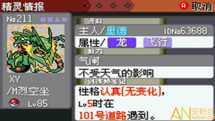 愛(ài)囗袋最新版下載,探索愛(ài)口袋，最新版的下載與體驗(yàn)之旅