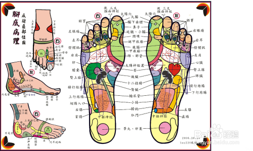 最新足部反射區(qū)示意圖,最新足部反射區(qū)示意圖，探索足部健康與全身的聯(lián)系