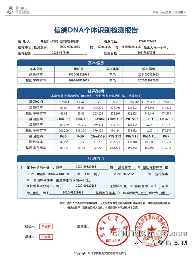 天津交通事故最新2024,天津交通事故最新報告（XXXX年）