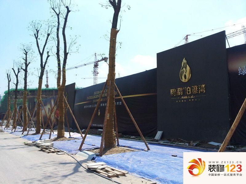 鷗鵬泊雅灣最新動態(tài),鷗鵬泊雅灣最新動態(tài)，揭秘項目進(jìn)展與未來展望