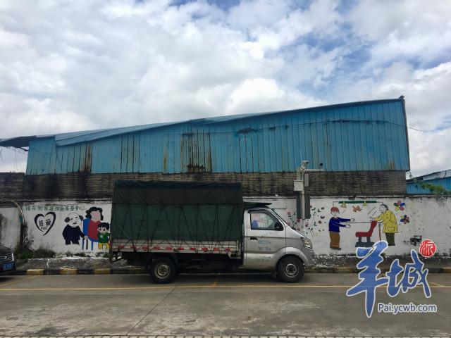 2016年最新掃樓順鞋,2016年最新掃樓順鞋——引領(lǐng)潮流，打造舒適生活新選擇