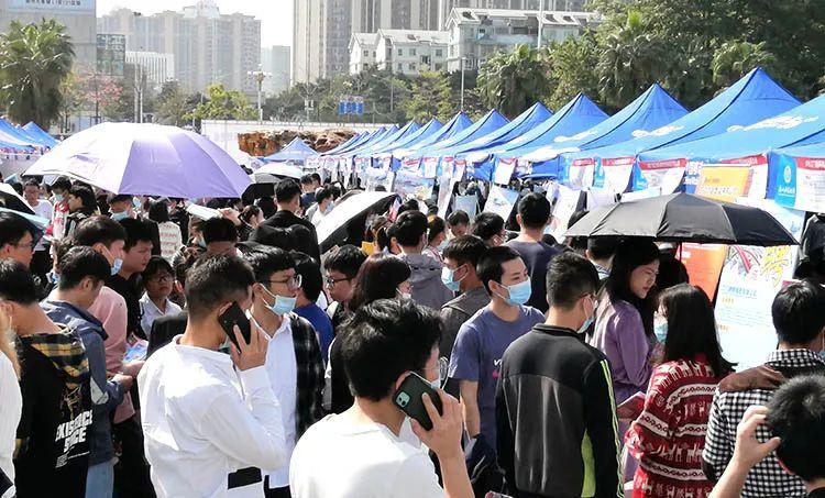 江門高新區(qū)最新招聘,江門高新區(qū)最新招聘動(dòng)態(tài)及其影響
