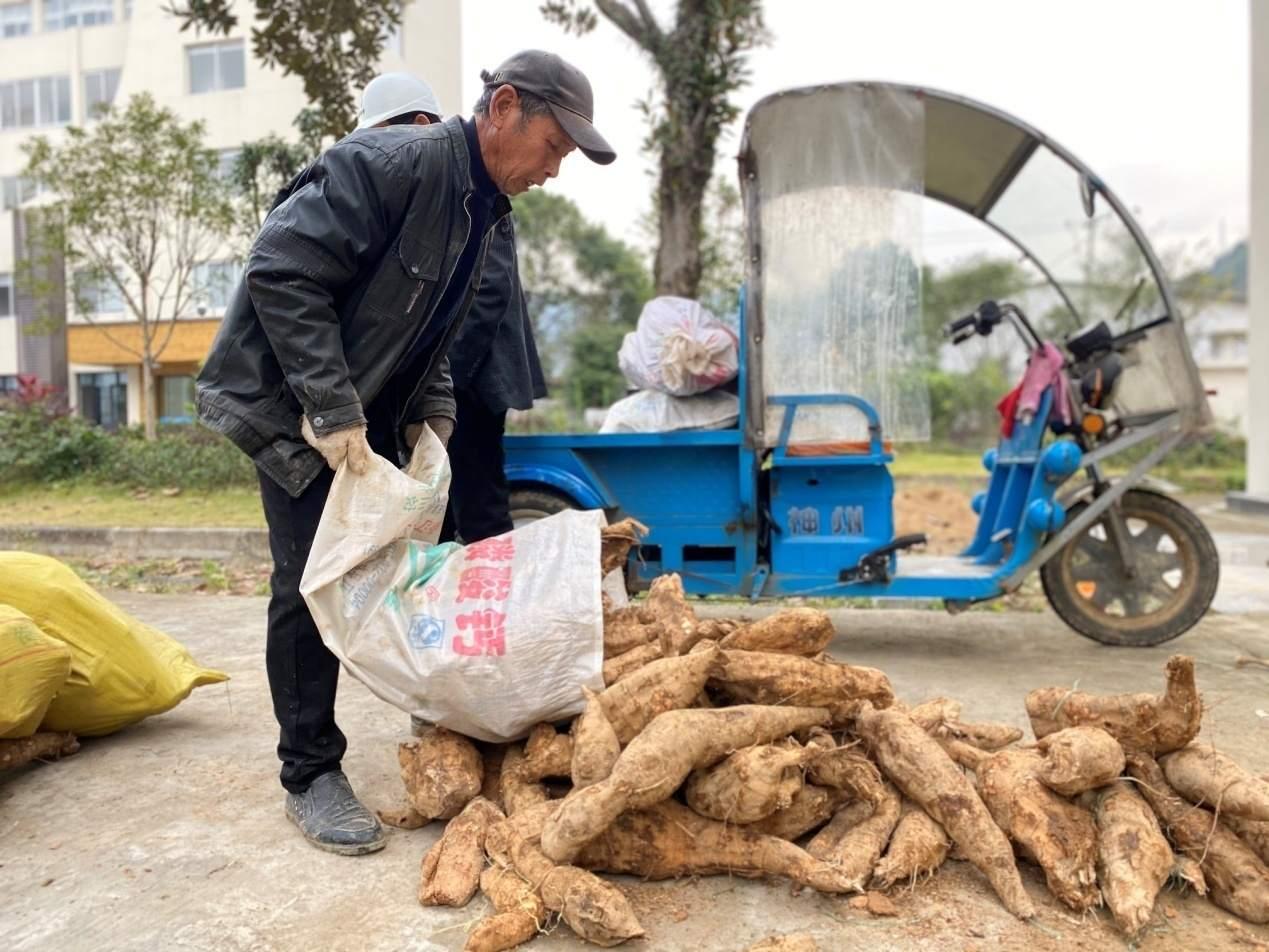 葛根粉價(jià)格2022最新價(jià)格,葛根粉價(jià)格 2022最新價(jià)格分析