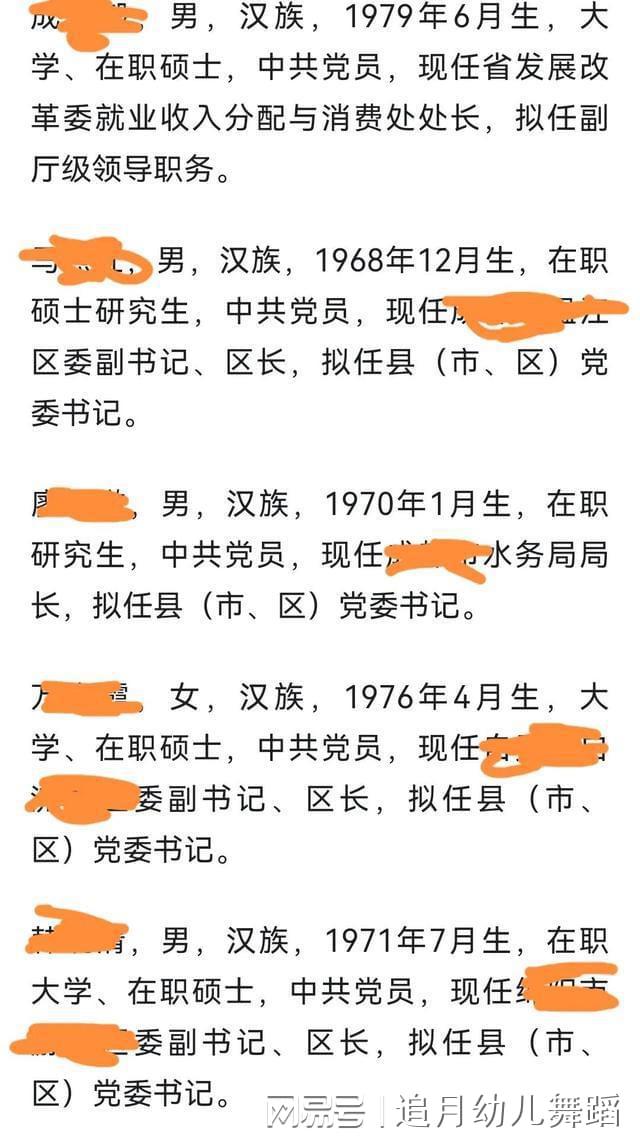 省委第一秘書(shū)最新章節(jié),省委第一秘書(shū)最新章節(jié)，權(quán)力與責(zé)任的交織