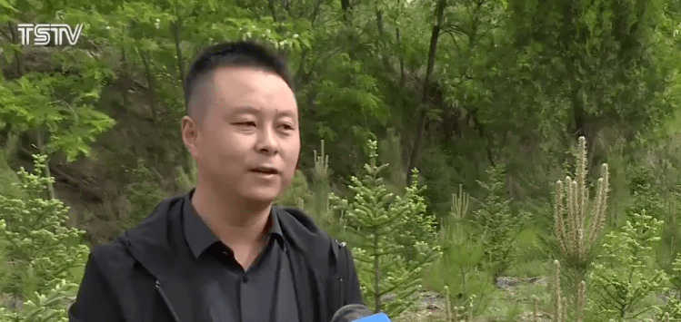 云南徐會(huì)良最新任命,云南徐會(huì)良的最新任命，推動(dòng)地方發(fā)展的杰出領(lǐng)導(dǎo)者