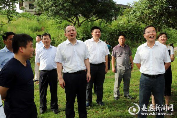 新化縣榮華鄉(xiāng)最新規(guī)劃,新化縣榮華鄉(xiāng)最新規(guī)劃，鄉(xiāng)村振興的藍(lán)圖展望