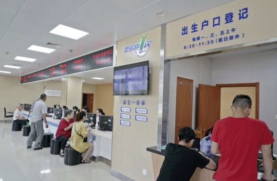 嘉善民生十分最新視頻,嘉善民生十分最新視頻，展現(xiàn)民生改善與社會發(fā)展的生動畫面