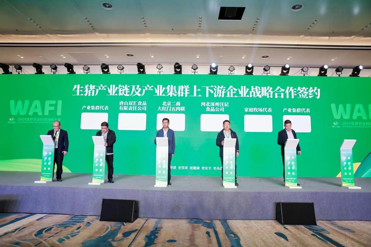 所羅門(mén)創(chuàng)客最新消息,所羅門(mén)創(chuàng)客最新消息，引領(lǐng)科技創(chuàng)新浪潮的新動(dòng)力