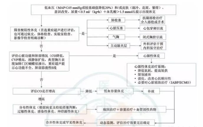 最新休克的搶救流程圖,最新休克搶救流程圖及其應(yīng)用