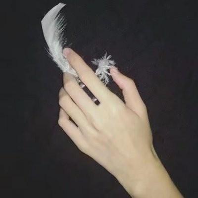 關(guān)于手的頭像最新版,關(guān)于手的頭像最新版，探索個性與時尚的新潮流