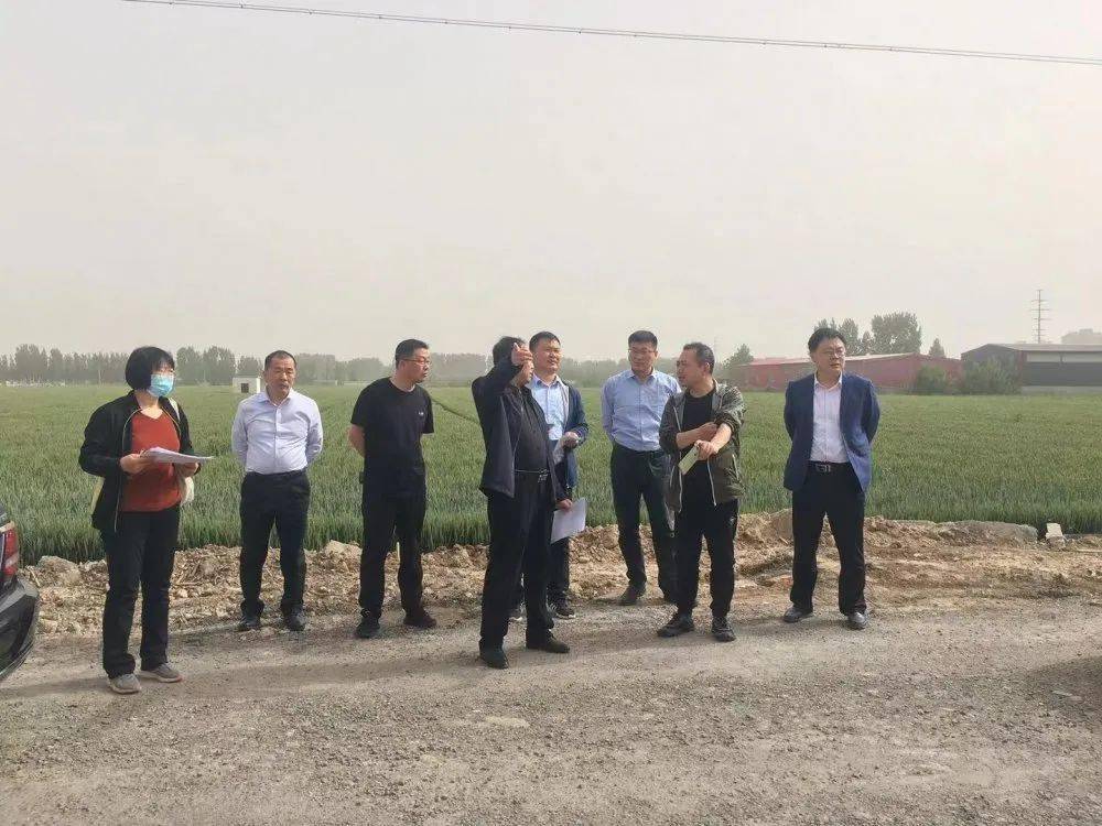 吉林土地確權(quán)最新消息,吉林土地確權(quán)最新消息，推動(dòng)農(nóng)村改革，促進(jìn)農(nóng)業(yè)現(xiàn)代化