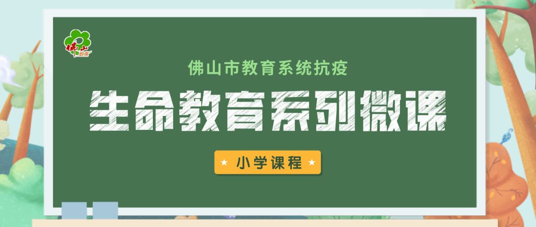 容湛桑夏最新免費閱讀,容湛桑夏，最新免費閱讀之旅