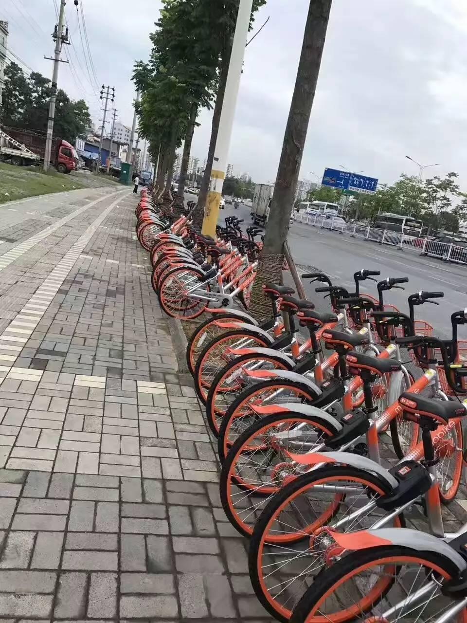 恩施金龍大道最新消息,恩施金龍大道最新消息，建設(shè)進(jìn)展與未來展望