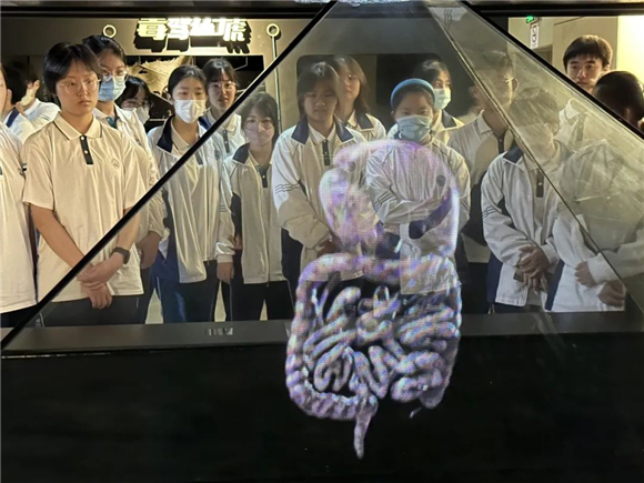 2024澳門天天開好彩大全最新版本,警惕虛假博彩陷阱，遠(yuǎn)離犯罪，珍愛生活——關(guān)于澳門博彩業(yè)及2024澳門天天開好彩的真相揭示