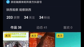 管家婆一碼一肖,揭秘管家婆一碼一肖，背后的神秘面紗與真相探索