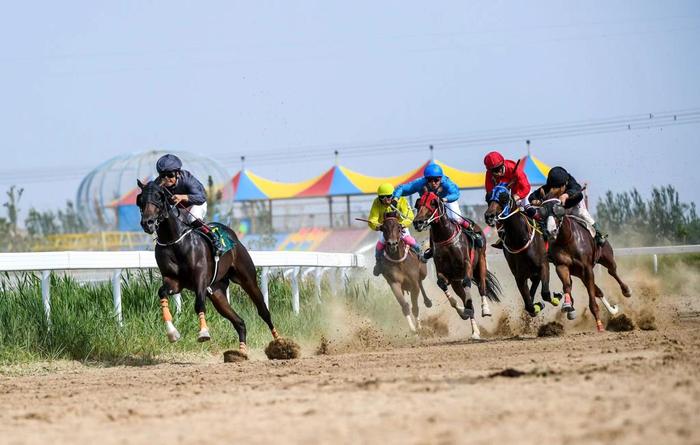 2024今晚香港開(kāi)特馬,今晚香港開(kāi)特馬，探索賽馬運(yùn)動(dòng)的魅力與未來(lái)展望