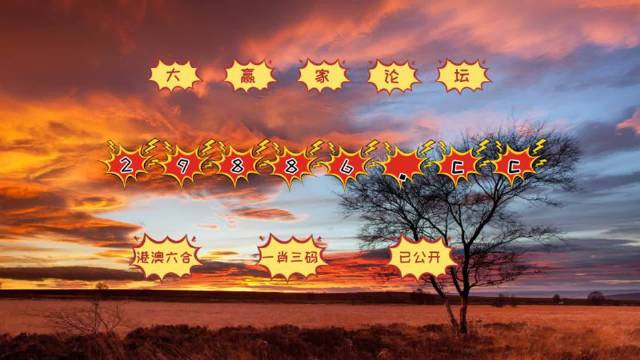 7777788888精準(zhǔn)跑狗圖,揭秘精準(zhǔn)跑狗圖，探索數(shù)字世界中的神秘77777與88888