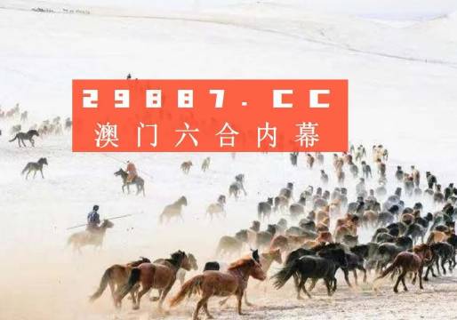 4949澳門特馬今晚開獎53期,澳門特馬第53期開獎揭曉，期待與驚喜交織的夜晚