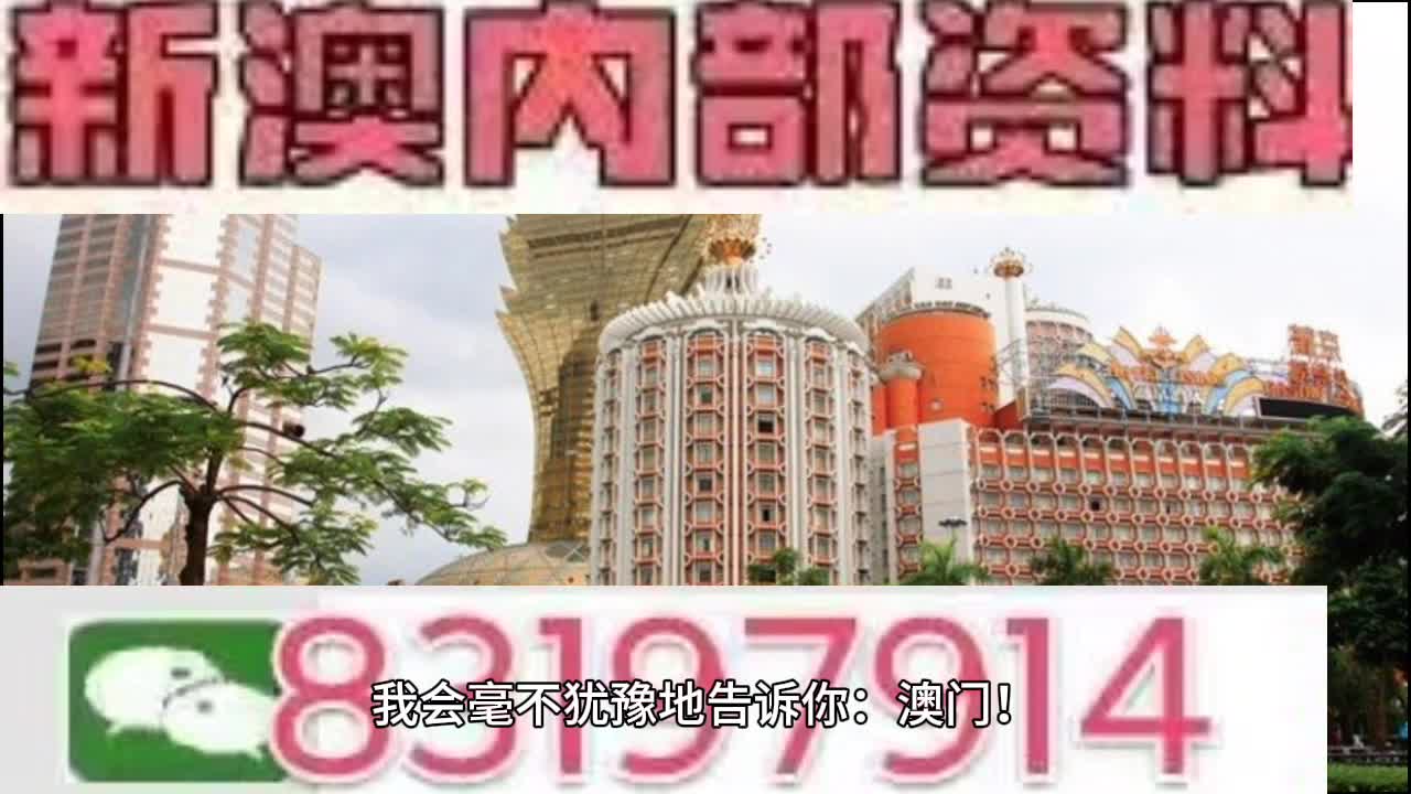 澳門今晚特馬開什么號,澳門今晚特馬號碼預測與探討