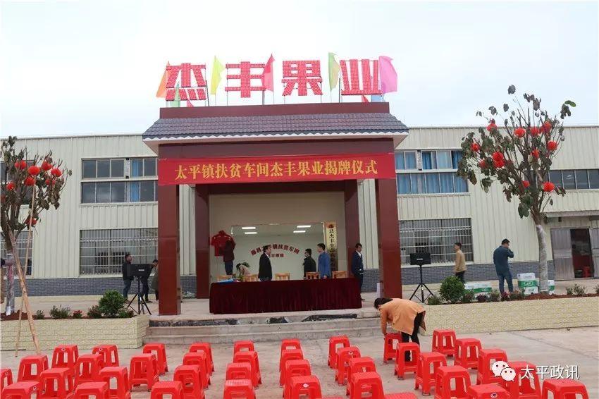 杰豐果業(yè)最新消息,杰豐果業(yè)最新消息，引領果業(yè)發(fā)展的先鋒力量