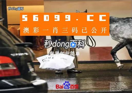新澳2025年精準一肖一碼,新澳2025年精準一肖一碼，預測背后的故事與探索