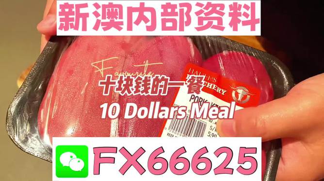 新澳精準(zhǔn)資料免費(fèi)提供4949期,新澳精準(zhǔn)資料免費(fèi)提供，揭秘第4949期的秘密與機(jī)遇