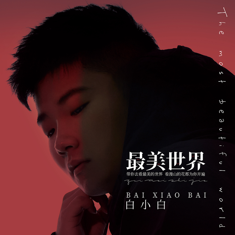 香港白小香港白小相資料,香港白小，一位閃耀新星的多面相資料