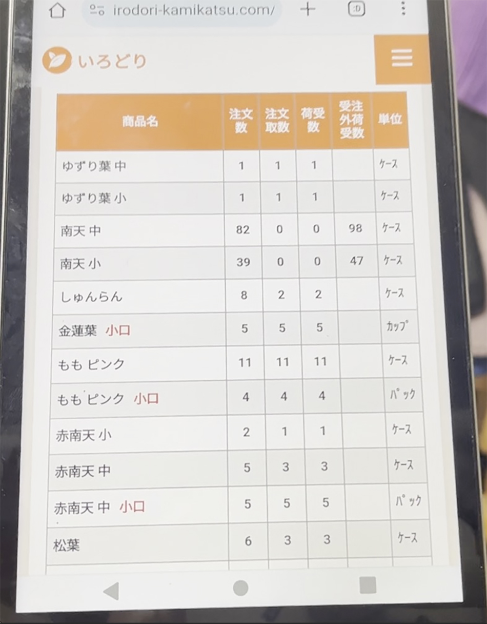 一碼一肖一特一中,一碼一肖一特一中，探尋背后的奧秘與意義