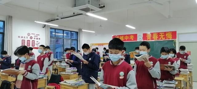 二四六天天彩資料大全網(wǎng)址,二四六天天彩資料大全網(wǎng)址，探索與解析