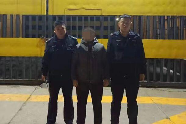 新奧彩天天開獎資料免費查詢,新奧彩天天開獎資料免費查詢，探索彩票世界的開放與透明