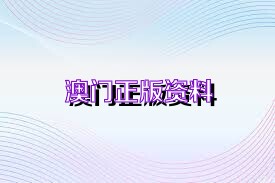 奧門2025年正版資料,澳門2025年正版資料深度解析