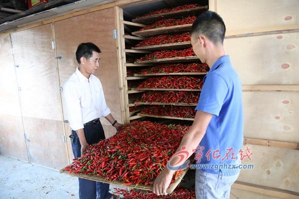 王中王最準(zhǔn)100%的資料,王中王最準(zhǔn)100%的資料解析與深度探討