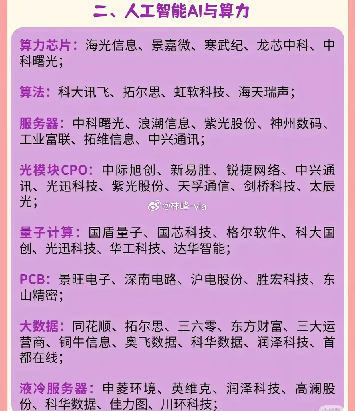 2025王中王精準資料,探索未來，2025王中王精準資料解析